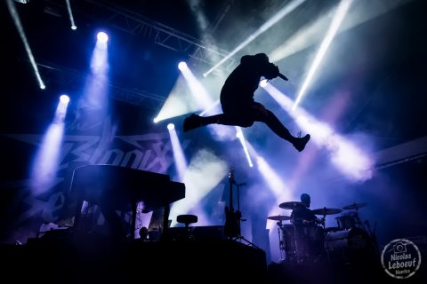 The Bloody Beetroots