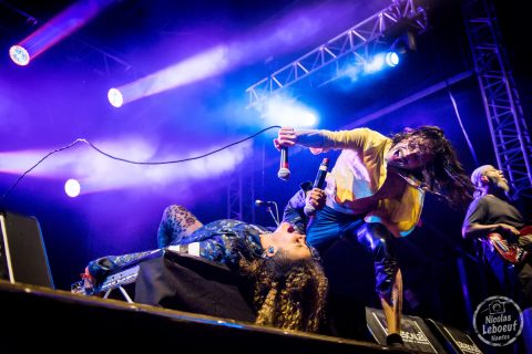 Gogol Bordello