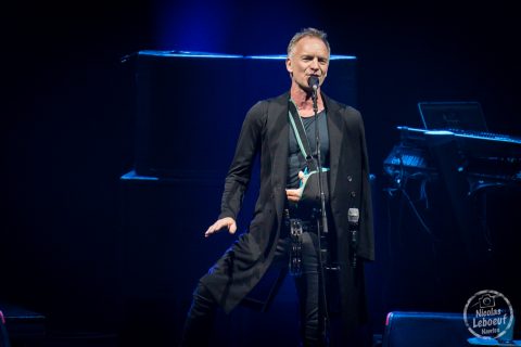 Sting