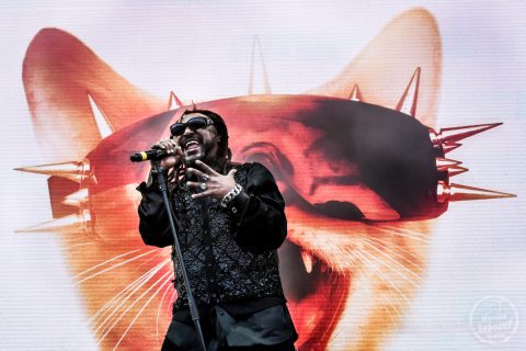 Skindred