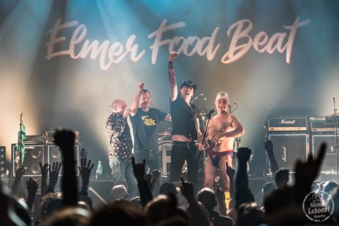 Elmer Food Beat