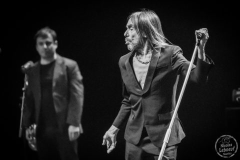 Iggy Pop