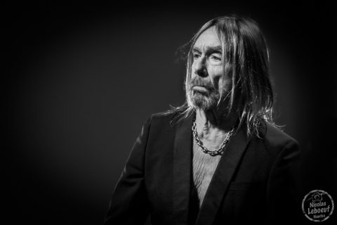 Iggy Pop