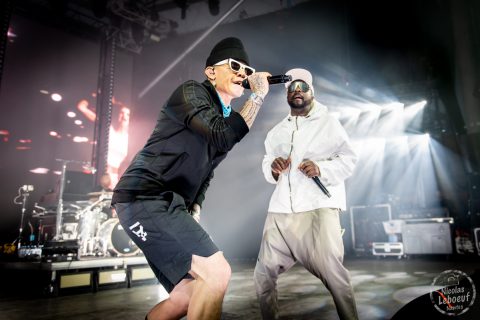 Black Eyed Peas