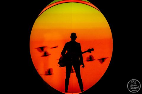 Gail Ann Dorsey