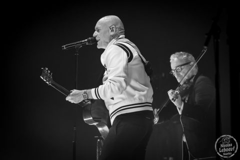 Louise attaque - zenith de Nantes