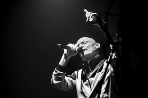 Louise attaque - zenith de Nantes
