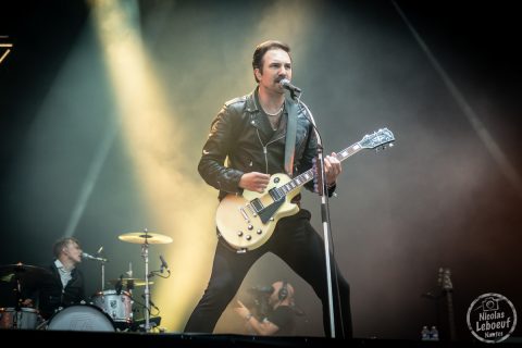 ROYAL REPUBLIC