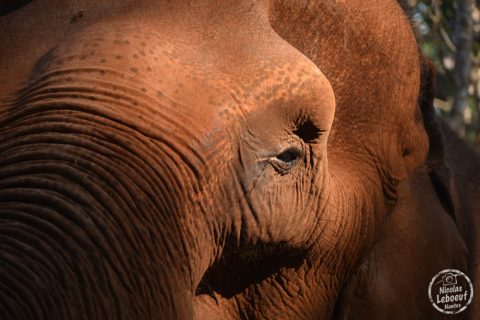 ganesha-park-thailand-02