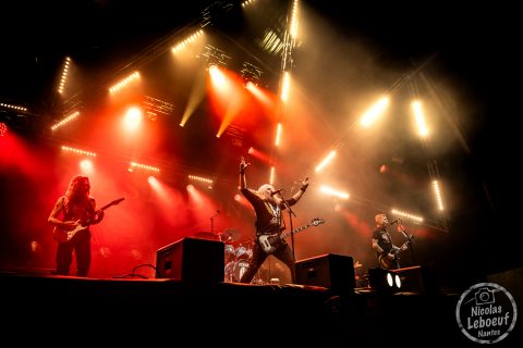 MASTODON-0492